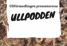 Projektägare: Region Jönköpings län Från handkraft till fotkraft 50 000 kr Ett symposium som samlade de personer som forskar kring vävning, vävanordningar, redskap och dess utveckling.