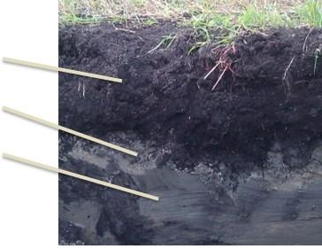 3 DATA COLLECTION In this chapter is presented an analysis of the test data obtained from a full scale field test performed by Skogforsk in September 2011, in Tierp, Sweden. 3.