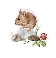 Epigenetik Råttungars förmåga till framtida omvårdnad styrs av egna erfarenheter av omvårdnad Om mammadepriverade råttungar får