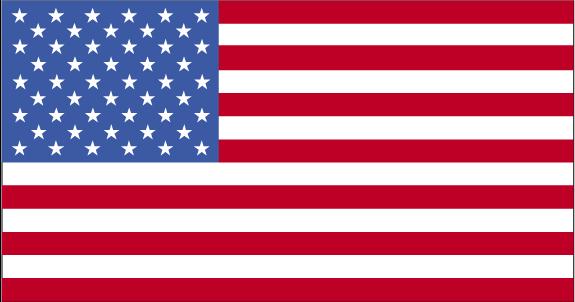 Trend: fokus på kompetenser/förmågor USA tidigt ute.