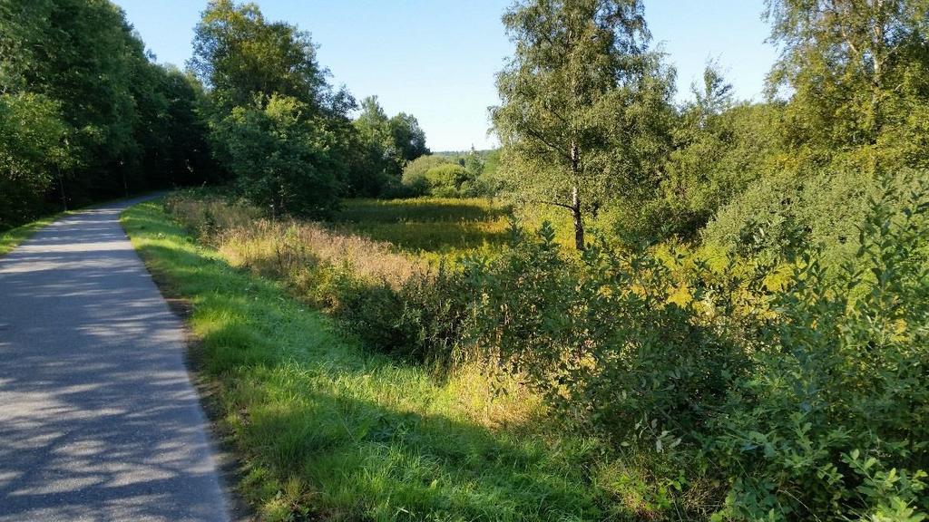 6 Föreslagen VA-försörjning 6.
