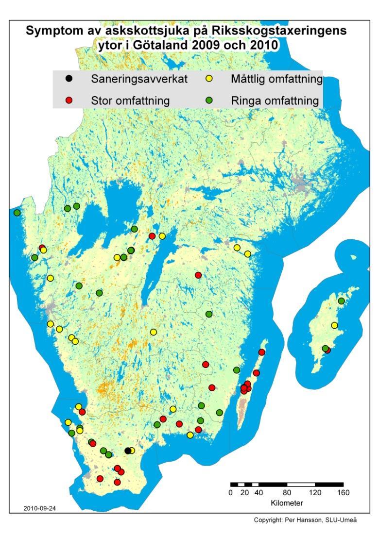 6 Symptomen för askskottsjukan förekommer över hela undersökningsområdet, men fler träd med svåra skador förekommer i den sydöstra delen av Götaland (Figur 3).