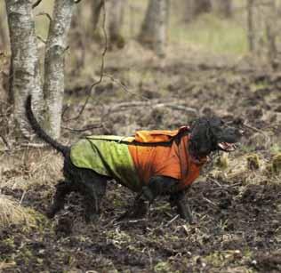 Rådgivningsinsatserna sker på flera sätt, länsansvariga konsulenter har ett stort antal enskilda kontakter med jägare i olika ärenden. Vid dessa tillfällen är en ökad jakt på vildsvin en viktig fråga.