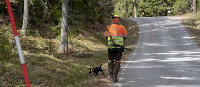 Nyrekrytering av eftersöksekipage Under 2017 kom förbundet i mål med ett nytt koncept för nyrekrytering av eftersöksekipage till NVR.