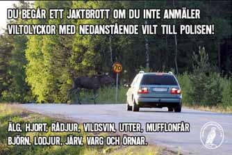 För desto medvetnare allmänheten blir om vikten av anmälan och noggrann utmärkning av olycksplatsen, desto bättre blir förutsättningarna att minimera trafikskadat vilts lidande.