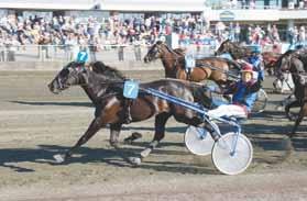 Niklasson M Hd 9/6-1 9/ 2140 0 dist g 740 20 1 Äg: Ceka Stable SRL Semplificata, Italien Niklasson M F 4/8-6 7/ 2140 0 20,6 g c x 110 17 Ljblå, blått axelp&hängsl,gul rev;blå Holm Bengt CROSS OCEANS