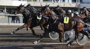 356 Tot: 37 6-5-4 Julie Parisienne e Smokin Yankee Gammelgård S Bi 24/4-8m 2000 1 17,0 - - 45 - Uppf: Dansk Uppfödare Sörensen R M Ål 24/5-3m 2120 1 17,5 - - - - 2 Äg: von Hirsch Tina, Danmark