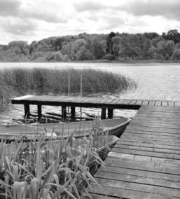 15 Werneck, 09722/94720 08. - 09.05.2016 Jutta Oberndorfer, Bachstr. 7 Schonungen Tel. 09721/50707 09. - 10.05.2016 Elisabeth Gimpl, Neutorstr.