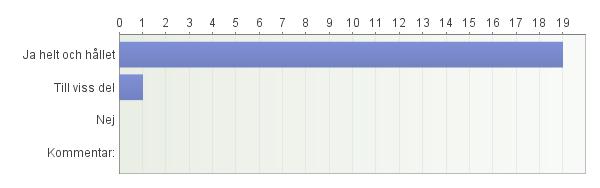 4. Hur fungerade ditt samarbete med kollopersonalen? 5.