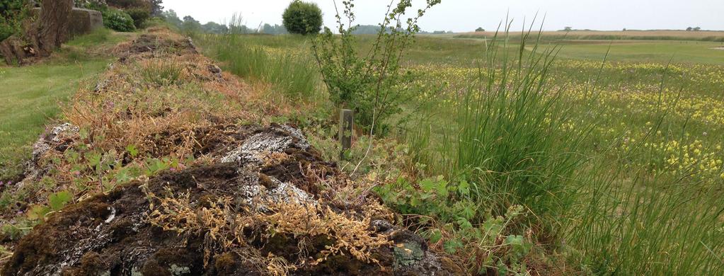 Vellinge kommun ser allvarligt på riskerna och ämnar därför ansöka om tillstånd vid Mark- och miljödomstolen för anläggande av ett översvämningsskydd.