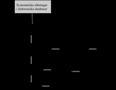 matematik och flerspråkighet. Dessa nyckelord användes då de kunde kopplas till de forskningsfrågor vi valt, då fokus låg på matematik och språk.