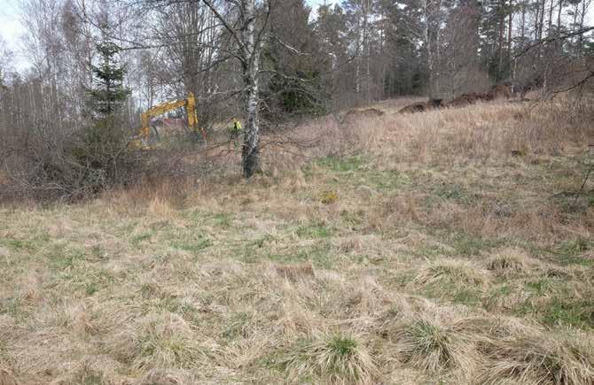 Illustration 8. Del av den södra-centrala delen av utredningsområdet, topografin framgår tydligt. Fotografen står på den äldre vägbanken, schaktning pågår i den norra delen av schakt 1.