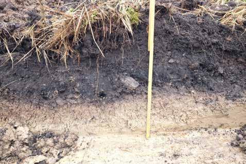 m öjligt stenlyft.undersöktessom et ledischaktningen,dendelsom undersöktesvarendastca1-5 cm djup. Sotochkollängskanterna. Form :Rund.
