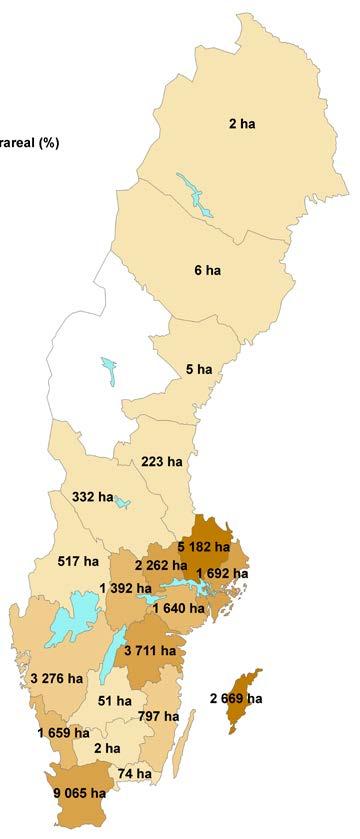 konservärt) Brun böna Mörkare nyans =