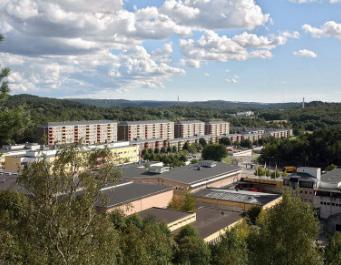 Lövgärdets läge gör att området inte prioriterats av näringsidkare för lokalisering av nya verksamheter.