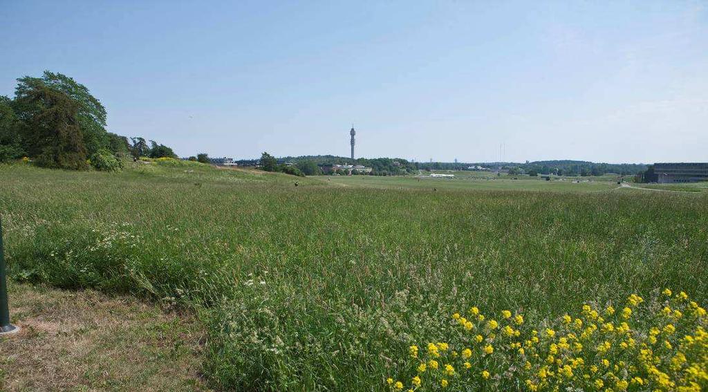 Marken är relativt plan och dess nivå ligger på ca +4 m över nollplanet.