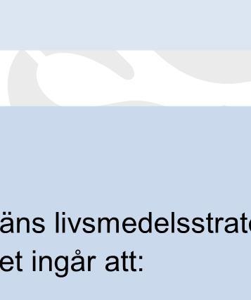Strategiska insatsområden Regler och villkor Att bidra till att regler och tillsyn långsiktigt