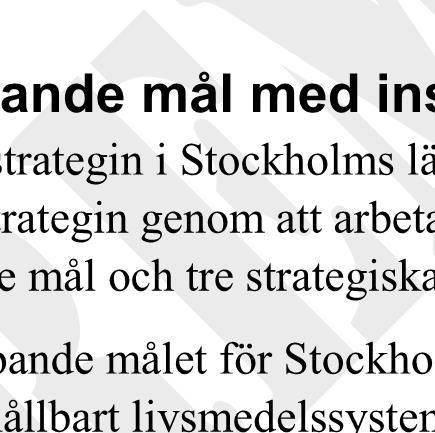 strategiska insatsområden.