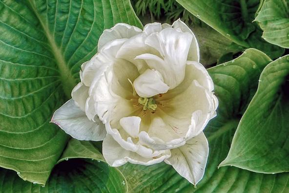 r Fragile and Beautiful Don t ask yourself what the world needs.