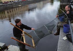 Art 2009 2010 2011 2012 2013 Abborre 2 4 6 2 0 Benlöja 1 4 9 0 0 Gers 0 3 2 0 1 Gädda 0 1 0 2 1 Id 0 1 0 0 0 Lake 0 1 1 0 0 Mört 84 33 115 13 26 Nejonöga 0 0 1 0 0 Signalkräfta 0 0 1 0 0 Småspigg 0 1