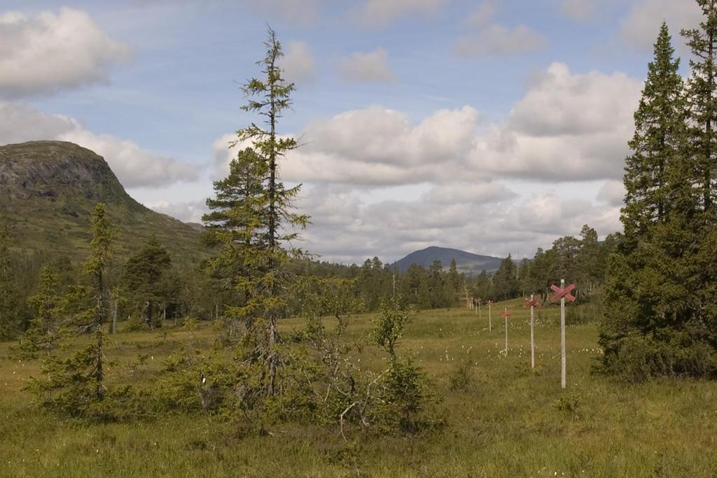 Områdesskyddsenheten Naturvårdsverket