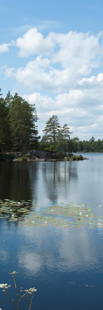 Övrigt - Alla som söker ett LIFE-projekt, låt bli att inkludera nya områden eller utvidgningar eller arter som inte är beslutade av regeringen; - Inga särskilda insatser/ansökningar för naturskötsel