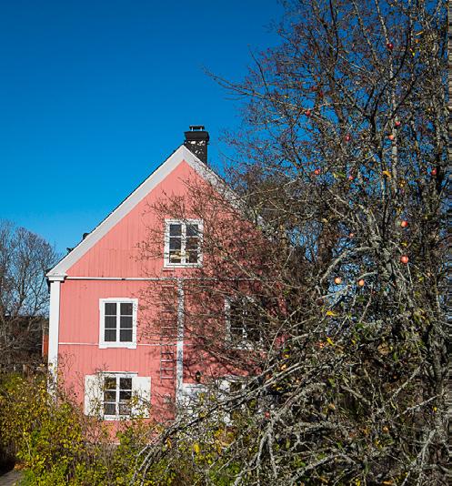 Vilken roll har föreningen i framtidens Enebyberg?