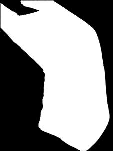 inkontinens rygg l.