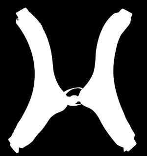 M - Support 3754 Sternumöd Exklusiv l.