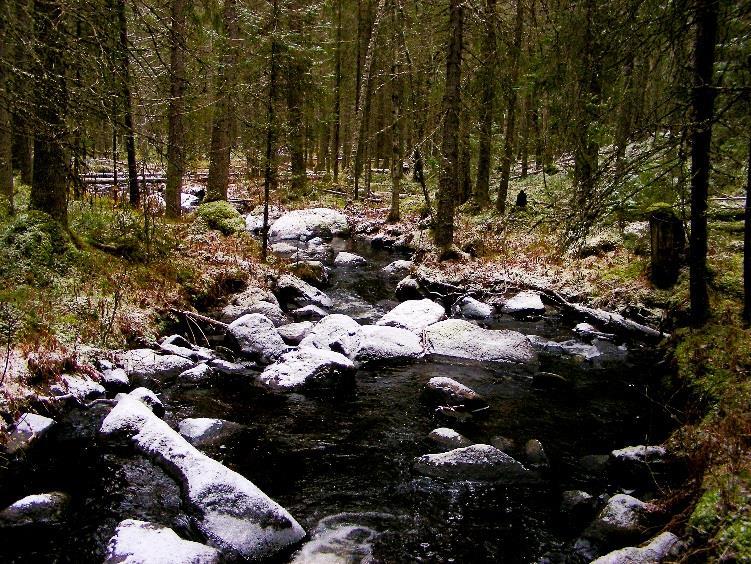1 / 11 Beslut Datum 2017-12-04 511-3783-2017 Dnr (anges vid skriftväxling) Dossiénr NVR2046873 Beslut för bildande av naturreservatet Meån Uppgifter om naturreservatet Naturreservatets namn: Meån