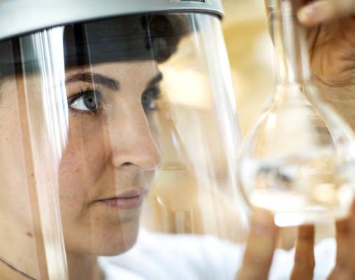 14 Kommersiellt fokus De globala läkemedelsföretagens efterfrågan på lovande immunonkologiska projekt är hög och en mängd stora kommersiella samarbetsavtal med totala avtalsvärden om tiotals