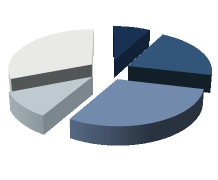 (27%) Genomföra fysisk kontroll 558 224 tkr (30%) Följa upp operatör och ärende 322 343 tkr (11%) Hantera Följa upp brott operatör 861 721 och tkr ärende (29%) 198 277 tkr (11%) Hantera brott