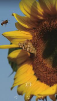 Kamera och galleri Intervalläge Med intervalläge kan du fånga och accelerera knappt märkbara förändringar i naturen. Du kan till exempel spela in när en blomma slår ut eller molns förflyttning.