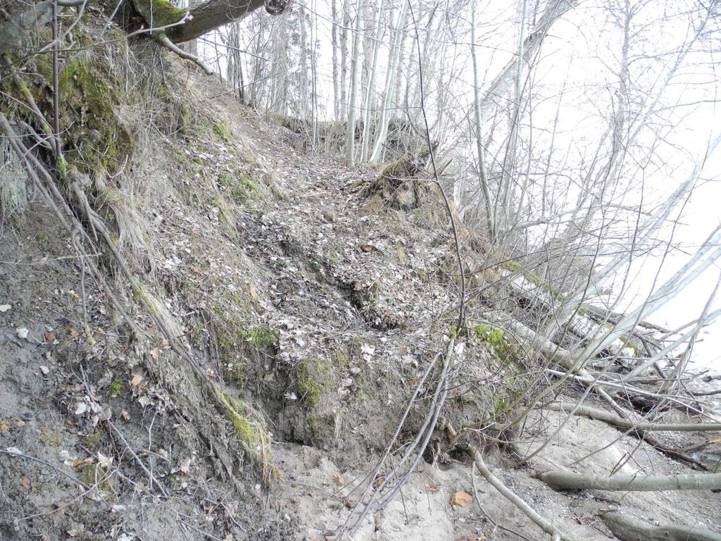 Tecken på vågerosion observerades vid släntfoten längs med hela den undersökta sträckan.