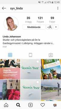 Planer på att ha ett gemensamt konto för SYV på skolan finns. TIPS INSTAGRAM! Gör en plan för vad du vill förmedla och hur ofta. Förbered inlägg. Tipsa kollegor/personal att följa.