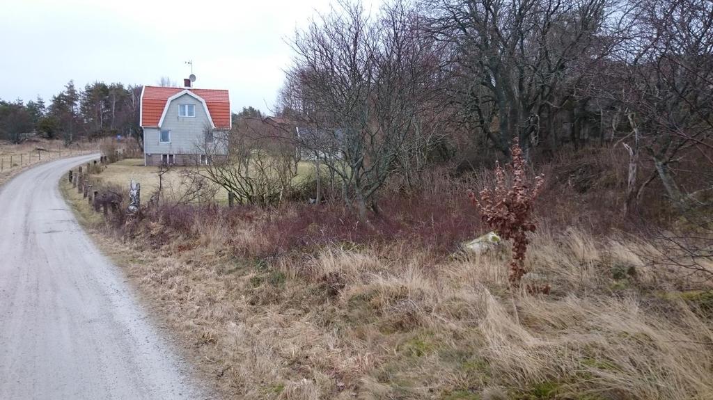 16 6 Foto visar västra Killebäcksvägen och området intill väg där