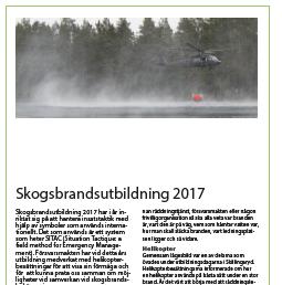 Året som gått