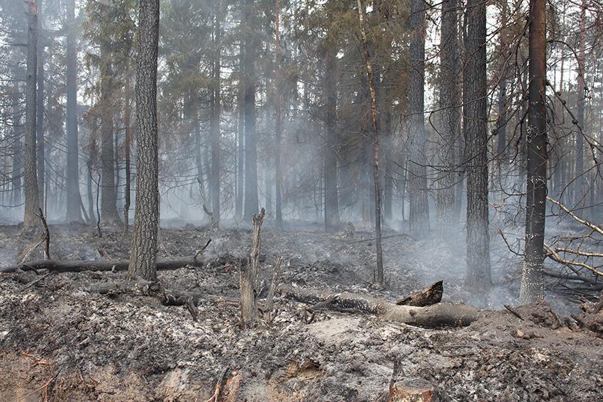 Om inte branden stoppats samma kväll fanns risk för en lika omfattande brand