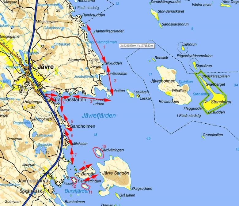 Laxungarna som kallas för stirr stannar mellan ett och ända upp till fyra år i älven beroende på var laxen haft sin födelseplats.