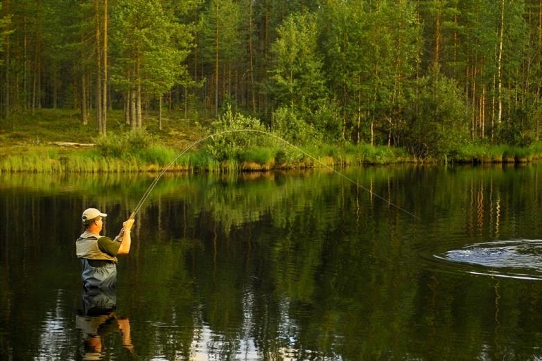 - Affärsutveckling med målet att etablera en boendeanläggning i området.