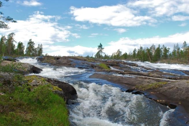 Här finns det möjlighet för medlems-företagen att få tillgång till ett mera exklusivt fiske där fisketrycket är betydligt