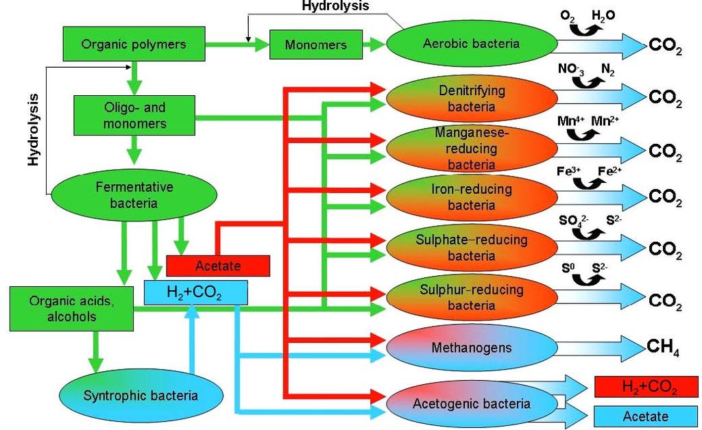 2 Objective and scope The presence of microorganisms has been demonstrated in every investigated groundwater from Fennoscandian shield rocks, from depths ranging from the surface to 1,700 m /5/.