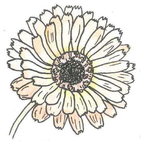 Sporreförsedda blommor har anpassat sig efter pollinatörer med långa sugsnablar, ofta dagfjärilar Rhopalocera. Ett exempel på Figur 2. Exempel på blommor försedda med sporre är violer Viola.