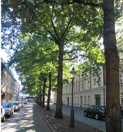 23 Träds betydelse som strålningsreglerande byggnadselement i staden Det effektivaste sättet att reglera solstrålning i urbana områden är med hjälp av växtlighet, och i synnerhet genom att använda
