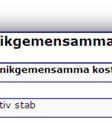 Det är projektledarens ansvar att efter redovisningsårets slut inkomma med ekonomisk redovisning för projektet.