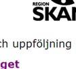 t Den yngre forskaren innehar formellt fortfarande samma tjänst som denne hade innan tilldelningen av ALF- medel.