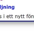 ALF-kommittén eller universitetet är intee på något vis arbetsgivare, eller har möjlighet att påverka lönesättningen.