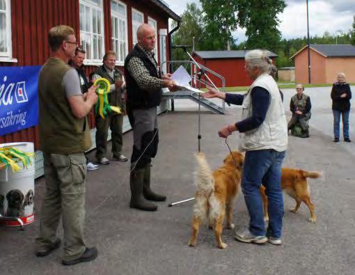 Klubbmästerskapet 2011 KM - som blev förlagt på ett "gammalt" skjutfält i Villingsberg, gav oss ett stort utbud av mark och sjöar, som gjorde det lätt att hitta platser, som liknar de jaktliga