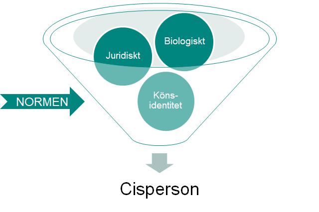 Normkritisk teori och begrepp HBTQ vad är det? Hbtq är ett paraplybegrepp för homosexuella, bisexuella, transpersoner och personer med queera uttryck och identiteter.