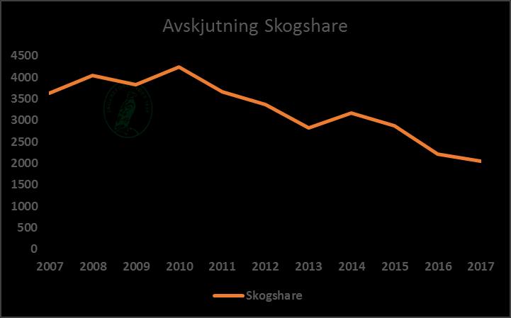 Avskjutning skogshare Avskjutningen av skogshare har minskat under en längre